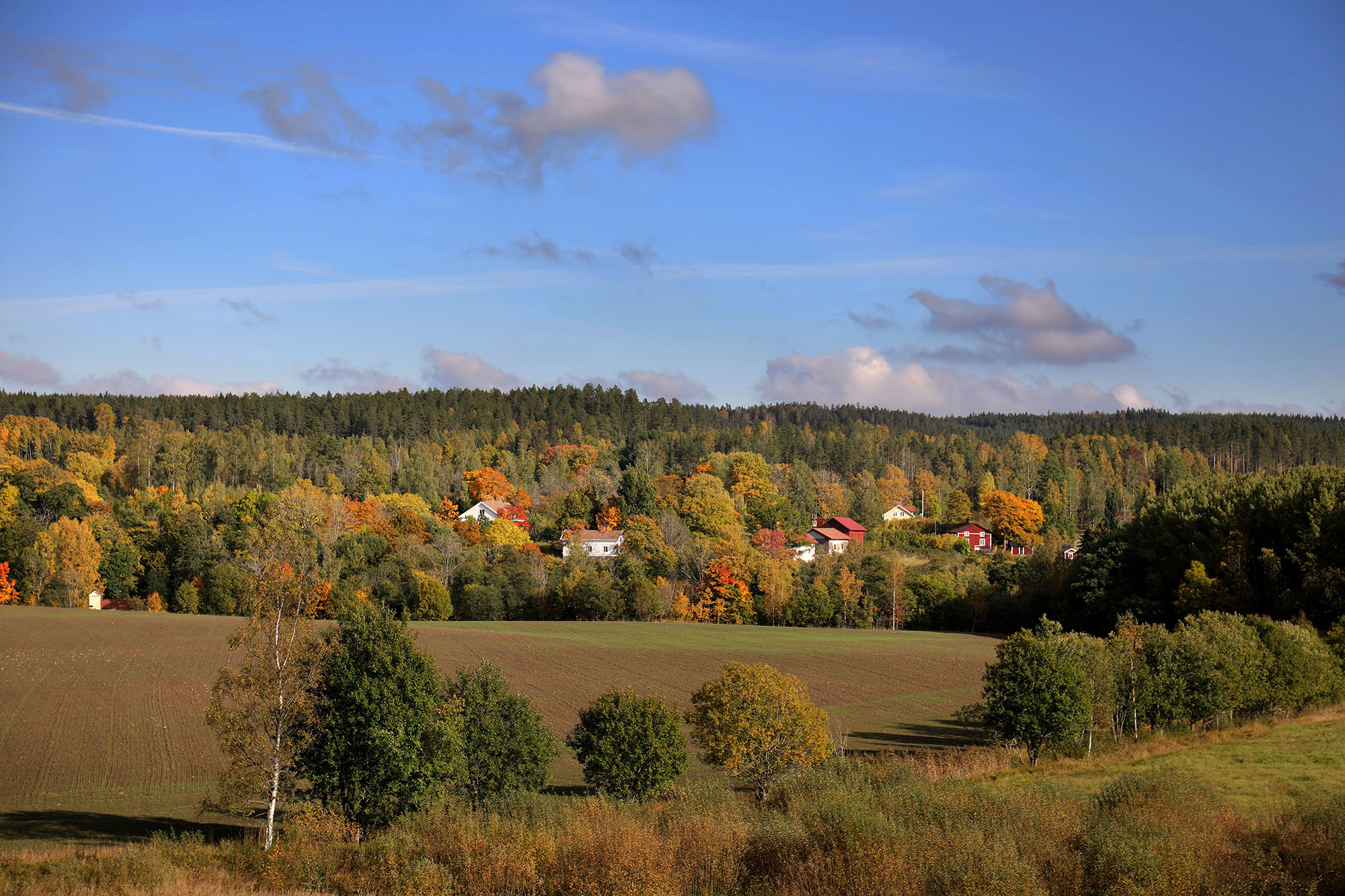 Örebro naturlandskap